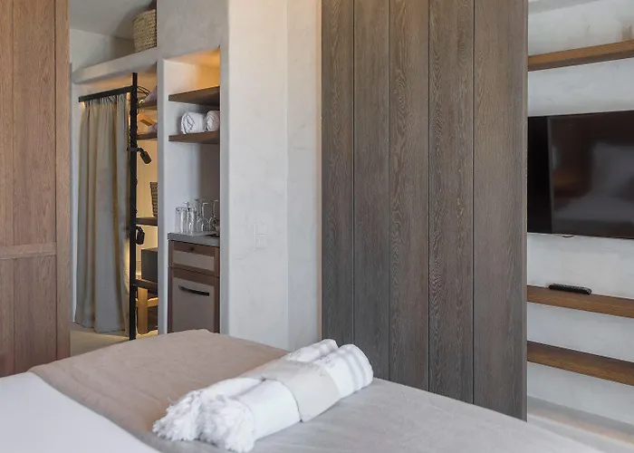 ホテル Branco Mykonos プラティス・ヤロス